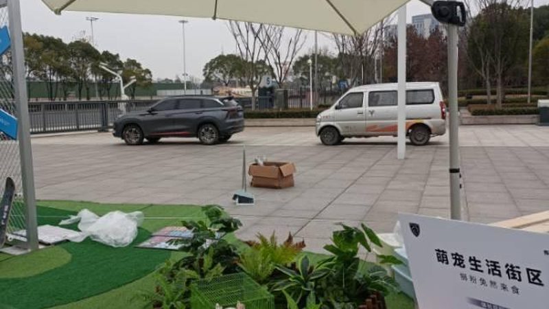 展台搭建公司定制服务：揭秘专业流程与关键要点**